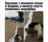 Клуб Ниссан Террано | Форум Terrano-Club.Ru | Фото: 1.png