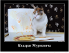 Клуб Ниссан Террано | Форум Terrano-Club.Ru | Фото: 1.png