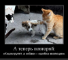 Клуб Ниссан Террано | Форум Terrano-Club.Ru | Фото: 2.png