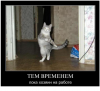 Клуб Ниссан Террано | Форум Terrano-Club.Ru | Фото: 5.png