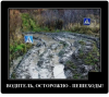 Клуб Ниссан Террано | Форум Terrano-Club.Ru | Фото: 2.png
