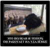 Клуб Ниссан Террано | Форум Terrano-Club.Ru | Фото: 6.png