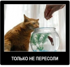 Клуб Ниссан Террано | Форум Terrano-Club.Ru | Фото: 2.png