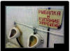 Клуб Ниссан Террано | Форум Terrano-Club.Ru | Фото: 2.png