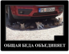 Клуб Ниссан Террано | Форум Terrano-Club.Ru | Фото: 1.png
