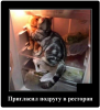 Клуб Ниссан Террано | Форум Terrano-Club.Ru | Фото: 1.png