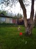 Клуб Ниссан Террано | Форум Terrano-Club.Ru | Фото: IMG_20220527_211425_resize_7.jpg