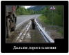 Клуб Ниссан Террано | Форум Terrano-Club.Ru | Фото: 1.png