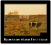 Клуб Ниссан Террано | Форум Terrano-Club.Ru | Фото: 3.png