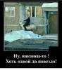 Клуб Ниссан Террано | Форум Terrano-Club.Ru | Фото: 1.png