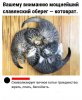 Клуб Ниссан Террано | Форум Terrano-Club.Ru | Фото: 1.png