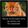 Клуб Ниссан Террано | Форум Terrano-Club.Ru | Фото: 6.png