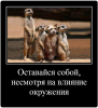 Клуб Ниссан Террано | Форум Terrano-Club.Ru | Фото: 2.png