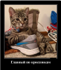 Клуб Ниссан Террано | Форум Terrano-Club.Ru | Фото: 1.png