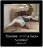 Клуб Ниссан Террано | Форум Terrano-Club.Ru | Фото: 5.png