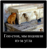 Клуб Ниссан Террано | Форум Terrano-Club.Ru | Фото: 6.png