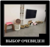 Клуб Ниссан Террано | Форум Terrano-Club.Ru | Фото: 5.png