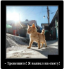 Клуб Ниссан Террано | Форум Terrano-Club.Ru | Фото: 3.png