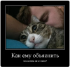 Клуб Ниссан Террано | Форум Terrano-Club.Ru | Фото: 2.png