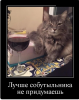 Клуб Ниссан Террано | Форум Terrano-Club.Ru | Фото: 1.png