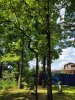 Клуб Ниссан Террано | Форум Terrano-Club.Ru | Фото: Дуб.jpg