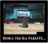 Клуб Ниссан Террано | Форум Terrano-Club.Ru | Фото: 1.png