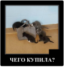 Клуб Ниссан Террано | Форум Terrano-Club.Ru | Фото: 1.png