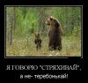 Клуб Ниссан Террано | Форум Terrano-Club.Ru | Фото: 17033296.jpg