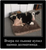 Клуб Ниссан Террано | Форум Terrano-Club.Ru | Фото: 3.png
