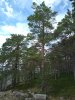 Клуб Ниссан Террано | Форум Terrano-Club.Ru | Фото: IMG_20220806_121816_resize_98.jpg