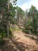 Клуб Ниссан Террано | Форум Terrano-Club.Ru | Фото: IMG_20220809_143423_resize_93.jpg