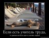 Клуб Ниссан Террано | Форум Terrano-Club.Ru | Фото: 96783_800.jpg