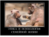 Клуб Ниссан Террано | Форум Terrano-Club.Ru | Фото: 1.png