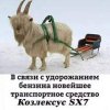 Клуб Ниссан Террано | Форум Terrano-Club.Ru | Фото: original.jpg