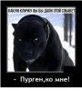 Клуб Ниссан Террано | Форум Terrano-Club.Ru | Фото: 1.png