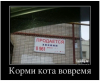 Клуб Ниссан Террано | Форум Terrano-Club.Ru | Фото: 4.png