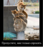 Клуб Ниссан Террано | Форум Terrano-Club.Ru | Фото: 2.png