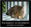 Клуб Ниссан Террано | Форум Terrano-Club.Ru | Фото: 4.png