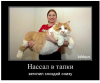 Клуб Ниссан Террано | Форум Terrano-Club.Ru | Фото: 5.png