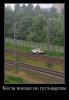 Клуб Ниссан Террано | Форум Terrano-Club.Ru | Фото: 1.png