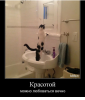Клуб Ниссан Террано | Форум Terrano-Club.Ru | Фото: 1.png