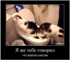 Клуб Ниссан Террано | Форум Terrano-Club.Ru | Фото: 4.png