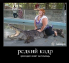 Клуб Ниссан Террано | Форум Terrano-Club.Ru | Фото: 1.png
