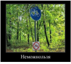 Клуб Ниссан Террано | Форум Terrano-Club.Ru | Фото: 1.png