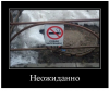 Клуб Ниссан Террано | Форум Terrano-Club.Ru | Фото: 2.png