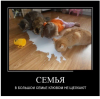 Клуб Ниссан Террано | Форум Terrano-Club.Ru | Фото: 1.png