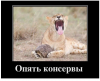 Клуб Ниссан Террано | Форум Terrano-Club.Ru | Фото: 4.png