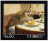 Клуб Ниссан Террано | Форум Terrano-Club.Ru | Фото: 6.png