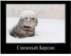 Клуб Ниссан Террано | Форум Terrano-Club.Ru | Фото: 5.png