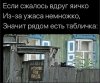 Клуб Ниссан Террано | Форум Terrano-Club.Ru | Фото: кошка.jpg